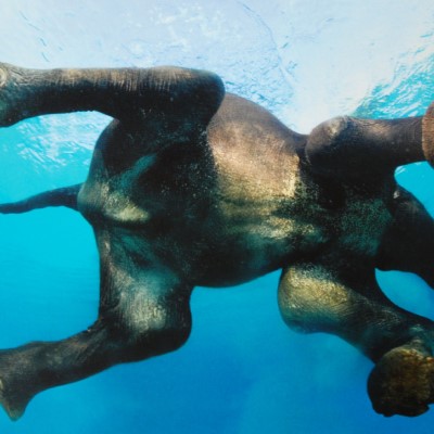 1920 x 1080 HD Wallpapers 3465